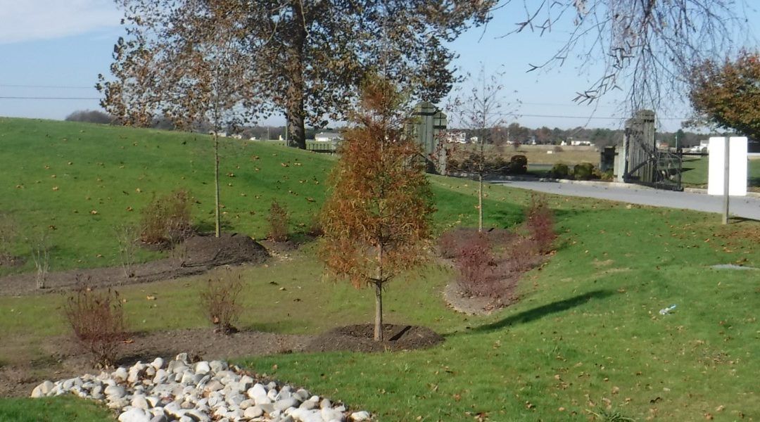Eastern Shore Veterans Cemetery